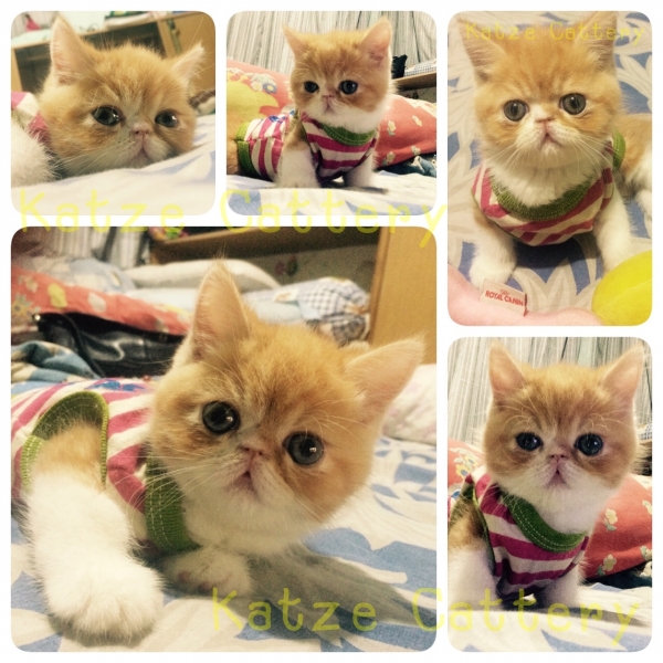 My Image 13