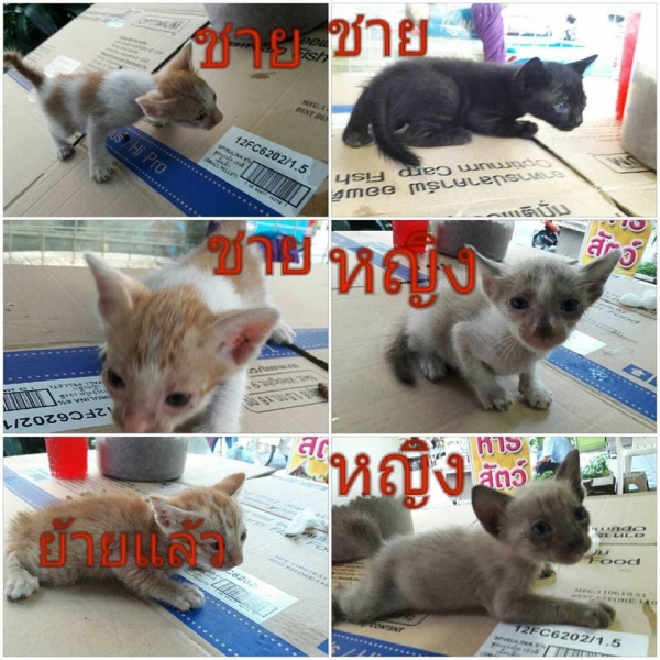 My Image 30