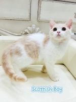 Cute Cat6