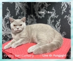 Cute Cat7