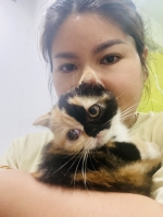 Cute Cat7