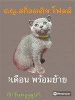 Cute Cat4