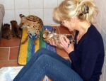 Cute Cat4