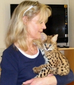 Cute Cat4